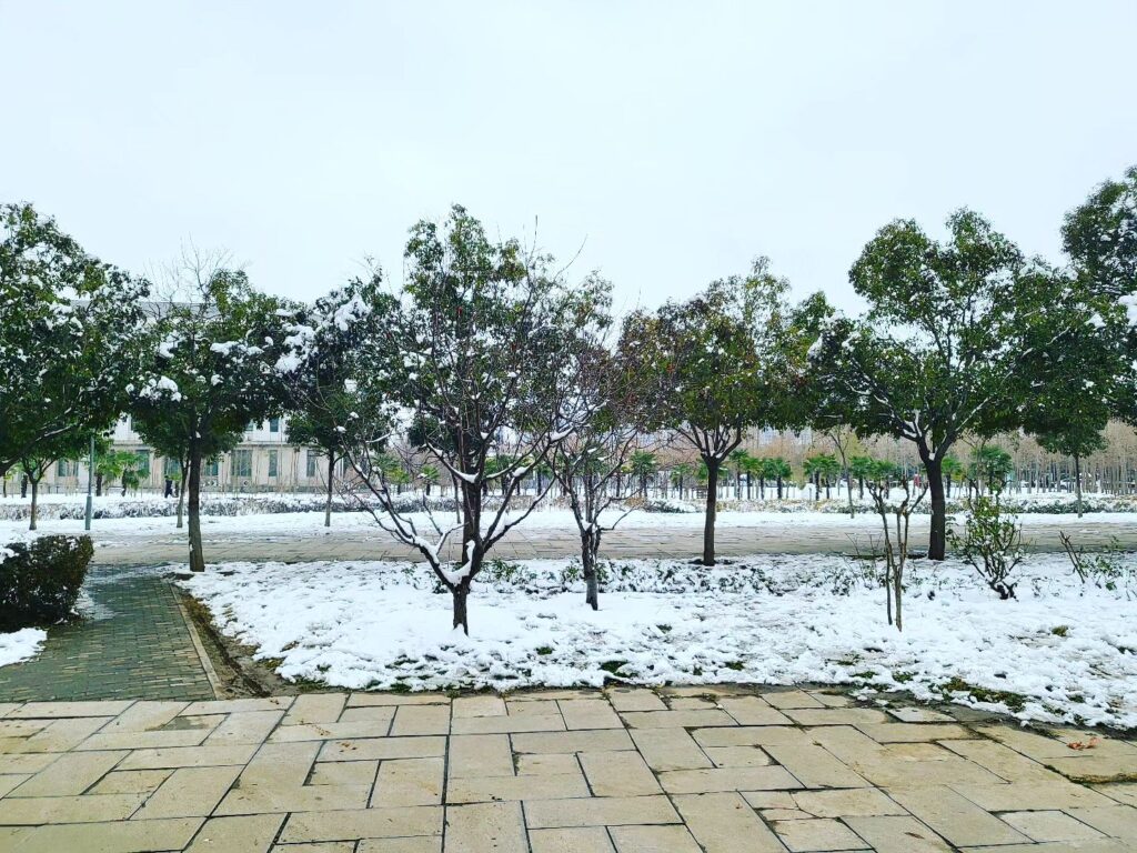 Instagram post from rukunuzzaman.shaon. This post is in position 5.